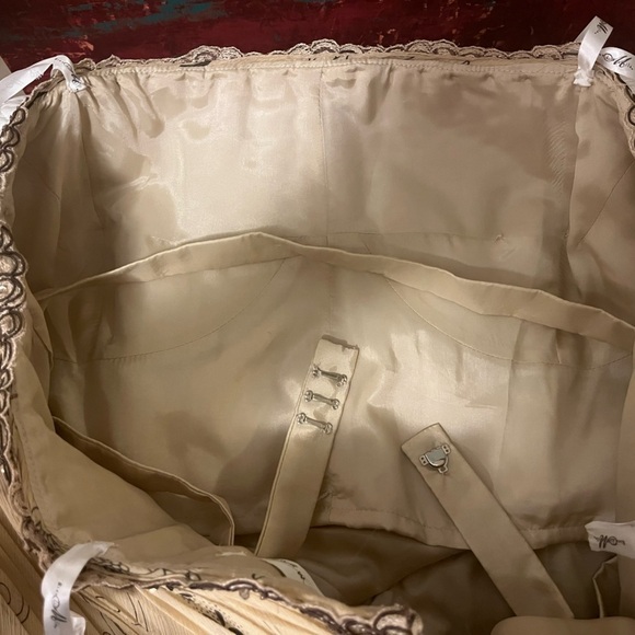 Rina diMontella Strapless Chiffon Gown in Cream and Silver, size 16W - Picture 10 of 11